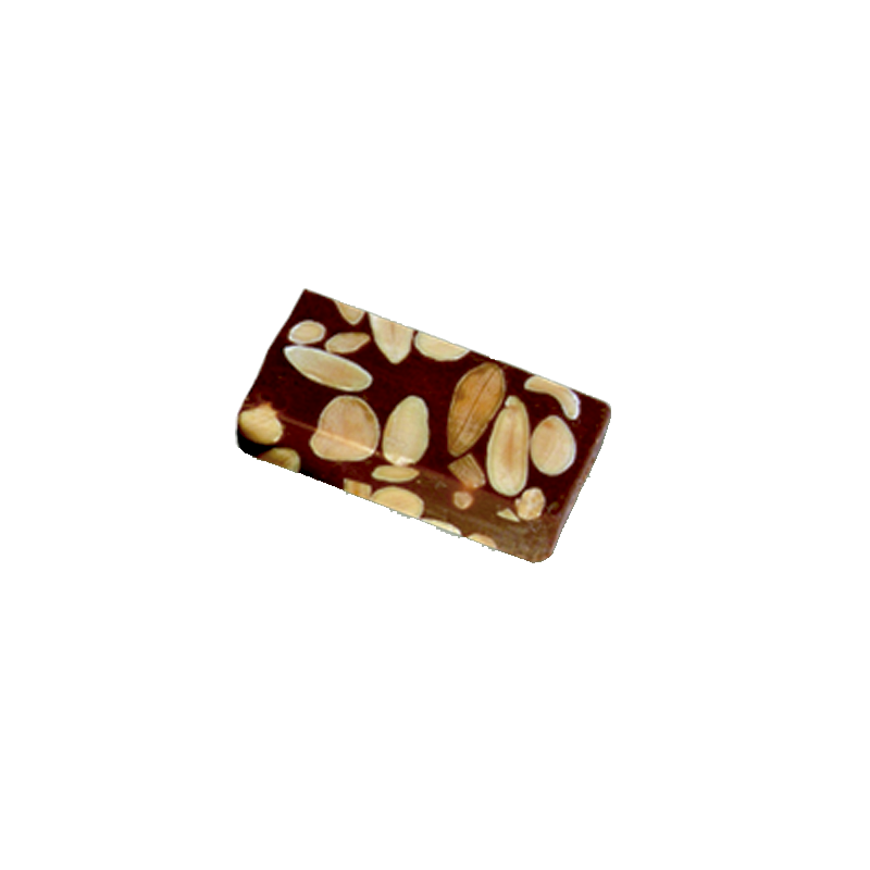 turron-chocoalmendra-n1-600-gr